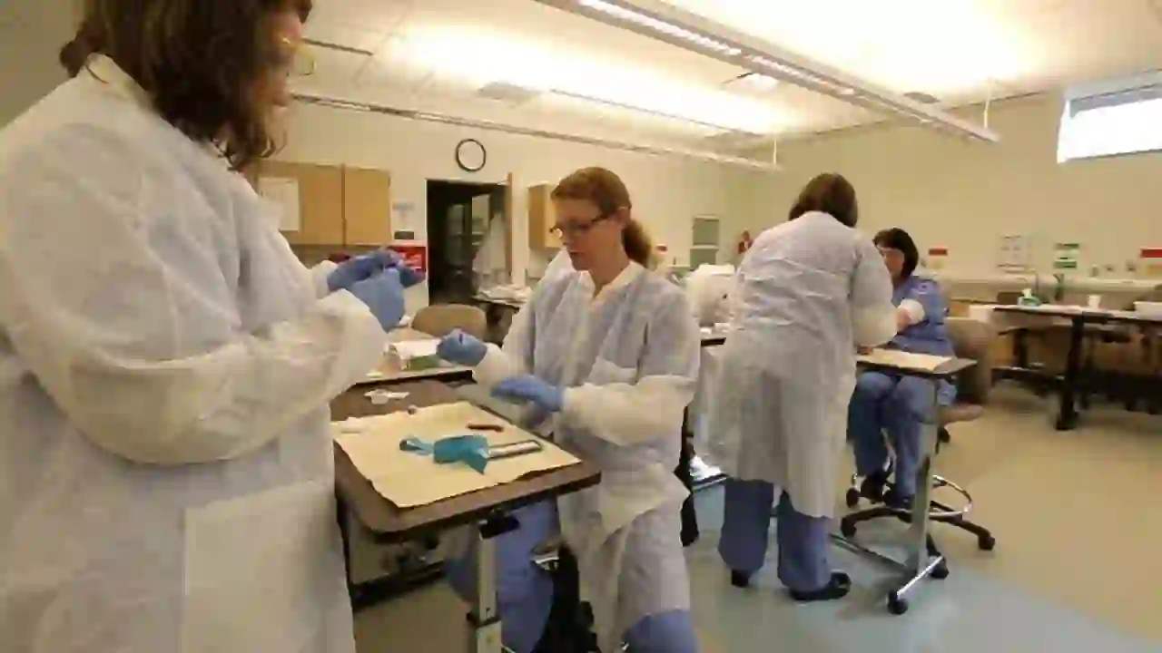 Clinical Lab Assistant Schooling Options NYtimeMag