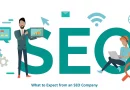 SEO Company