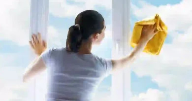 Window Cleaner