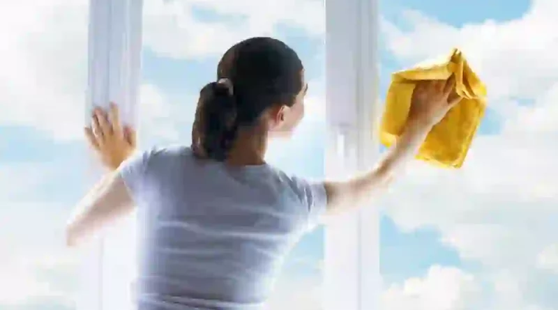 Window Cleaner