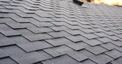 BNL Roofing Service Provider