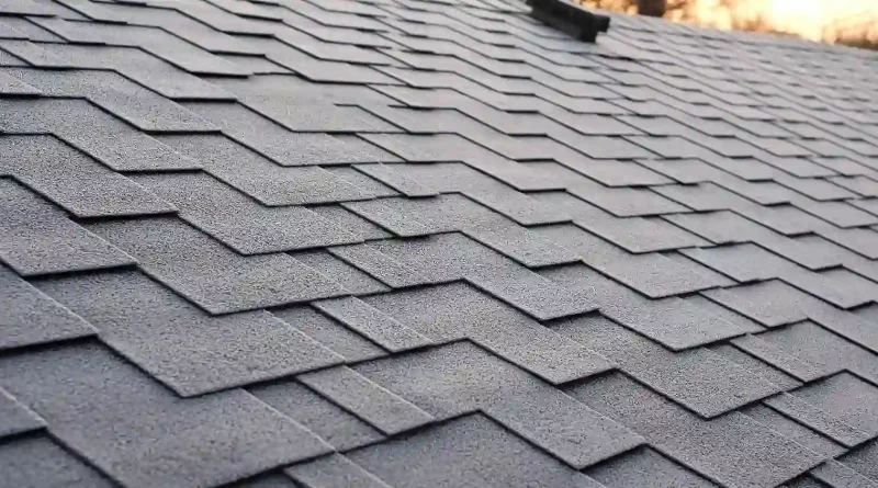 BNL Roofing Service Provider