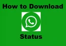 Download Videos of WhatsApp